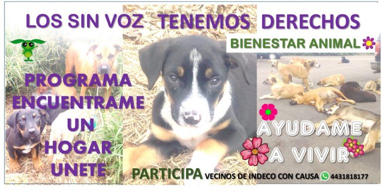 63B677C9-7E8B-4640-896B-470775D49677