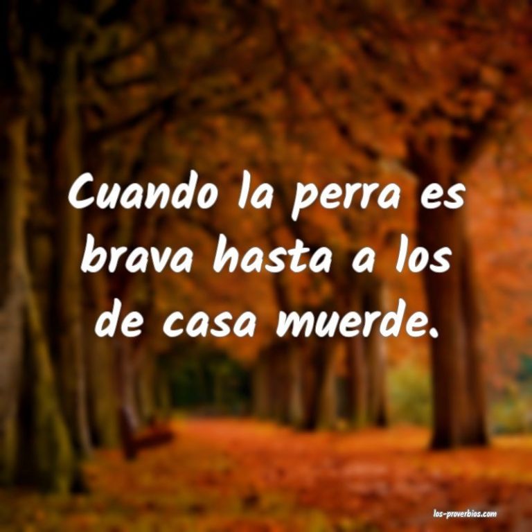 babb0244-71f3-4b41-ad47-37fb18275d07