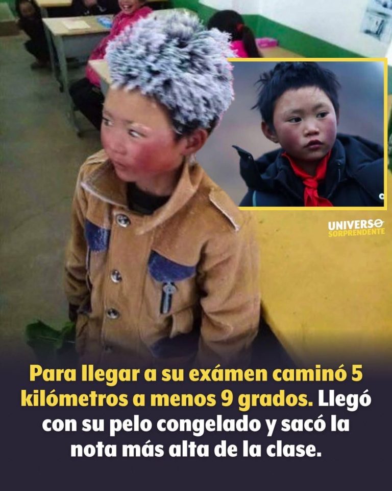 b95c0ef5-911e-4467-8b19-075644c584aa